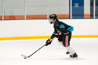 2026-01-12 Water Boys vs Great South Bay Brewery at The Rinx