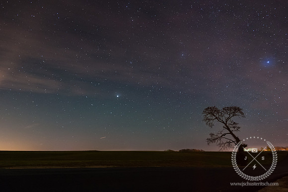 Starry Night at Mill Lane Oak Tree