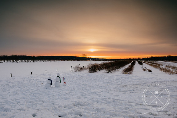 Salt Air Snow Family