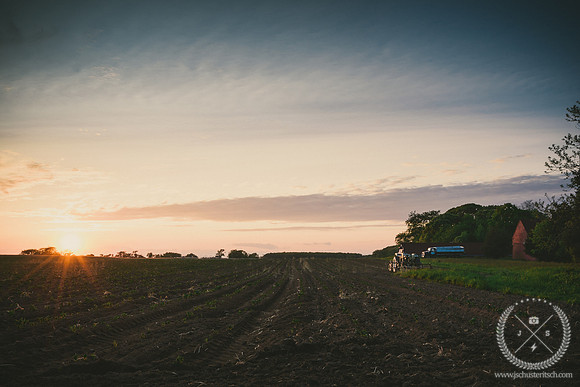 Sunset over a Potato Farm