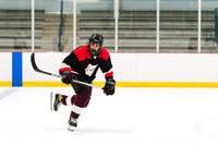 2022-08-02 Assassins vs Pigeons at Dix Hills