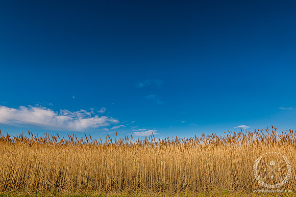 Blue Sky over Orient