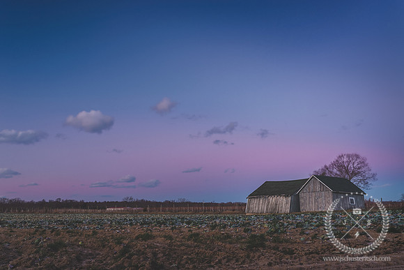 Riverhead Leaning Barns