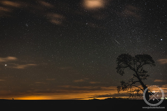 Perseid Meteor Shower