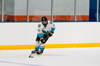 2025-08-05 Chelleys Whale House vs Hornets at The Rinx
