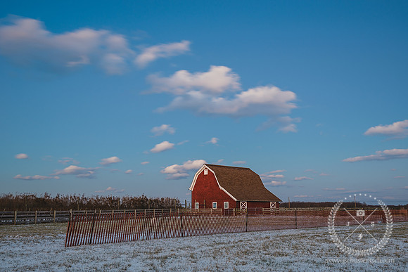 Mattituck Barn in January